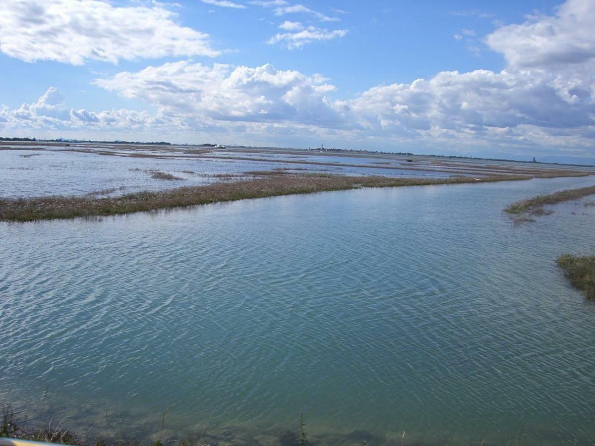 Villa Roma Holidays Jesolo Eksteriør bilde